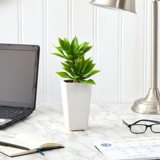 11.5" Double Mini Agave Succulent in White Planter {4}