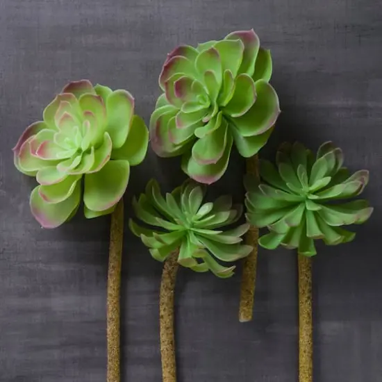 Assorted 11" Red Tipped Succulent Pick by Ashland&reg; {3}