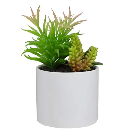 9" Succulent Arrangement in White Ceramic Pot {4}