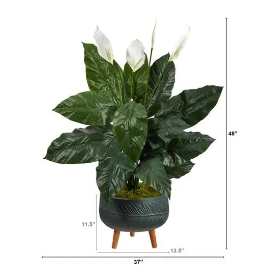 4ft. Peace Lily Plant in Black Planter with Stand {3}