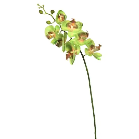 Green Real Touch Orchid Artificial Floral Stem {1}