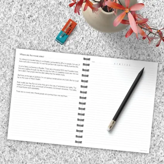 TF Publishing Painted Flowers Spiral Lined Journal {6}