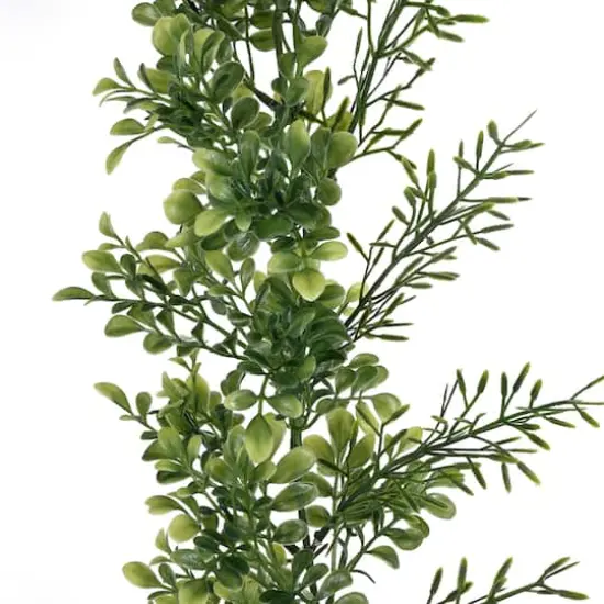 6ft. Green Boxwood Garland by Ashland&reg; {3}
