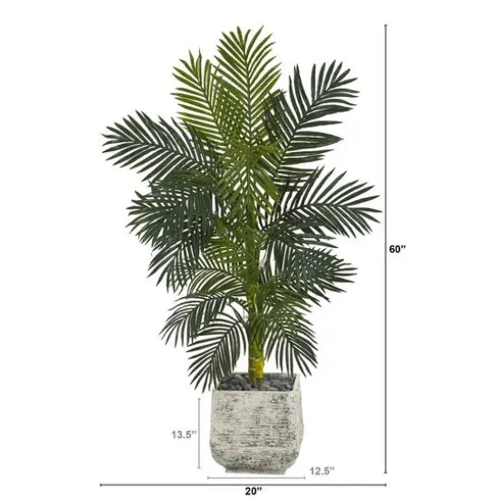 5ft. Golden Cane Palm Tree in White Planter {3}