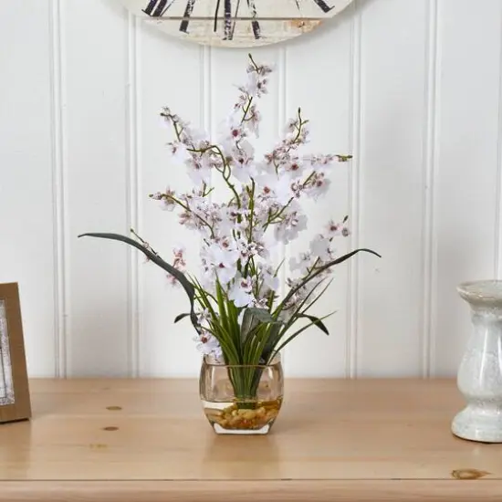 19" White Dancing Lady Orchid Arrangement in Vase {6}