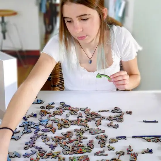 Retro Series Wooden Puzzle Multicolored {7}