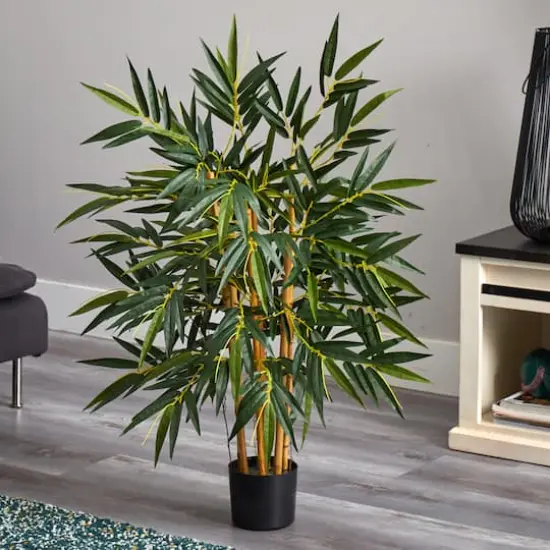 3ft. Potted Biggy Bamboo Silk Tree {4}