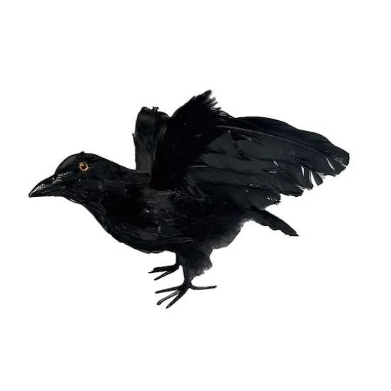 6" Black Flying Crow by Ashland&reg; {1}