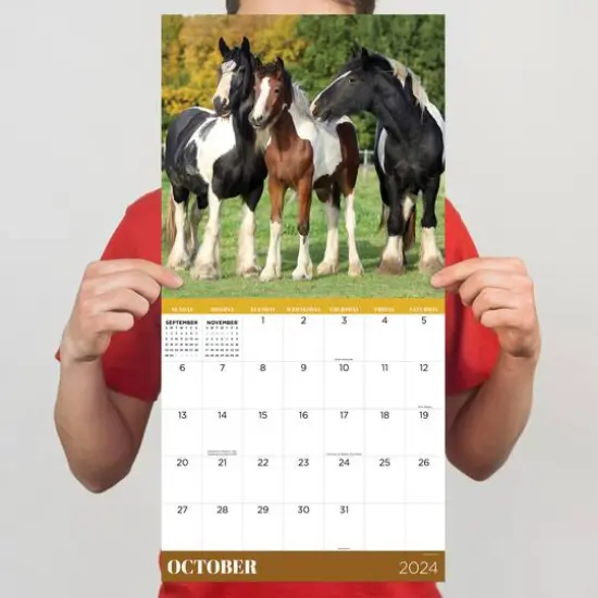 TF Publishing 2024 Horses Wall Calendar {6}