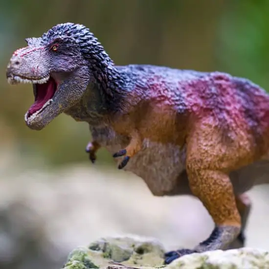 Safari Ltd&reg; Feathered Tyrannosaurus Rex Toy {4}