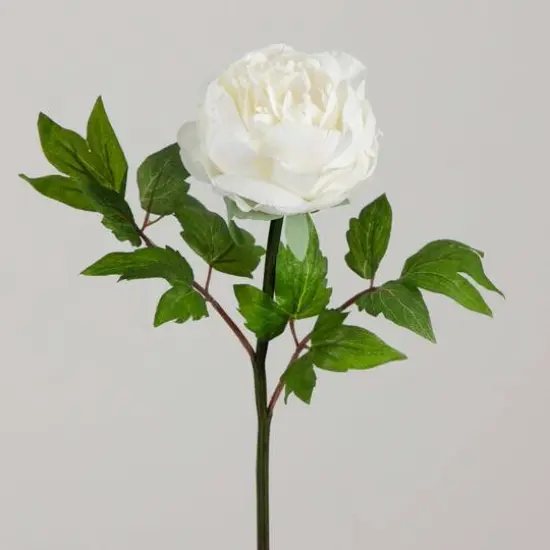 20" White Peony Flower Stems, 3ct. {10}