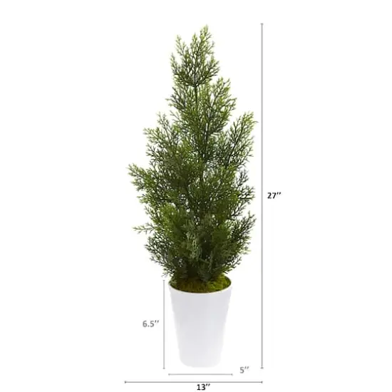 2.5ft. Mini Cedar Pine Tree in Decorative Planter {3}
