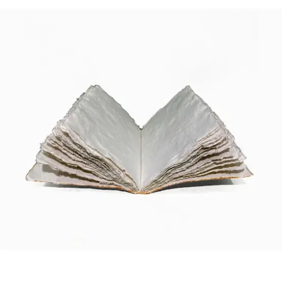 Lama Li Liasse Gold Soft-Cover Handmade Book {3}