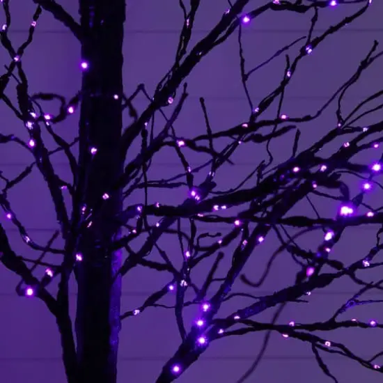 8ft. Pre-Lit Halloween Black Twig Artificial Tree with 510 Orange & Purple LED Lights {5}