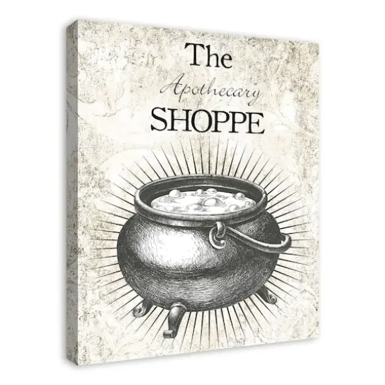 Apothecary Spot 2 24" x 30" Canvas Wall Art {3}