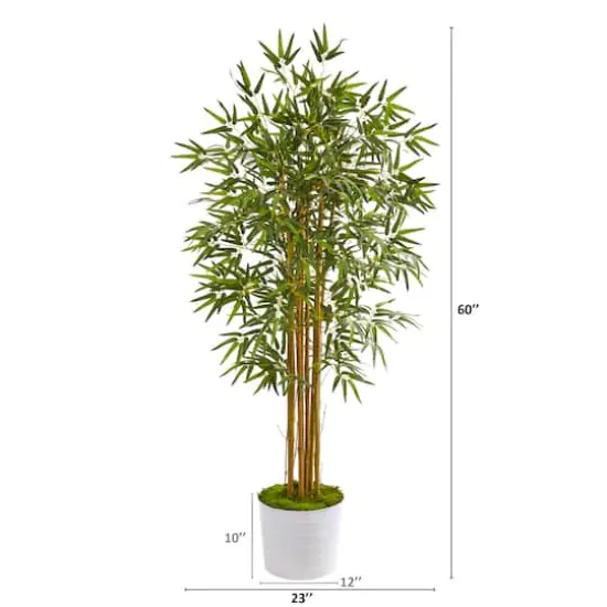 5ft. Bamboo Tree in White Tin Planter {3}