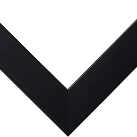 Craig Frames 4 Pack Essentials Modern Black Picture Frame with Mat {6}