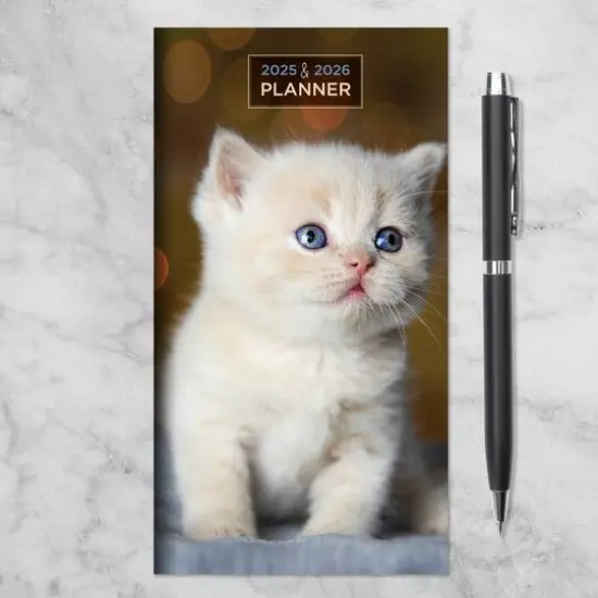 TF Publishing 2025-2026 Small Kitten Monthly Pocket Planner {9}
