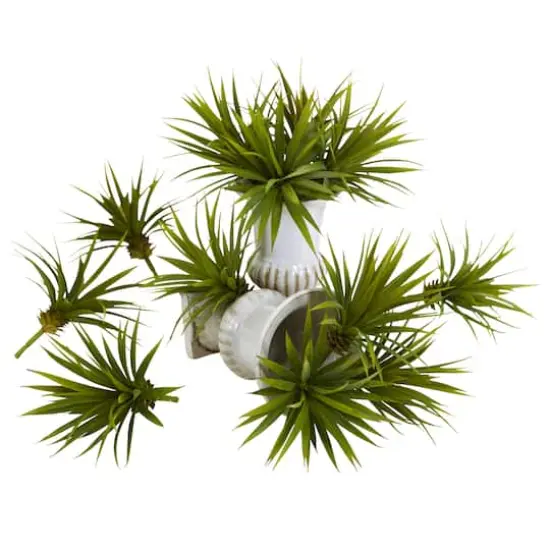 Spiky Agave Succulent Pick, 12ct.  {1}