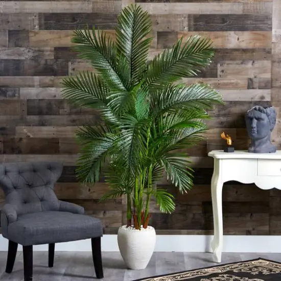 5.75ft. Areca Palm Tree in White Planter {4}