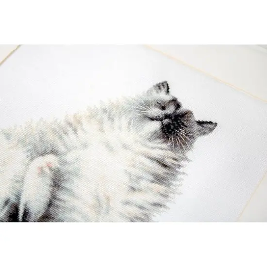 Luca-s Micky Counted Cross Stitch Kit {6}