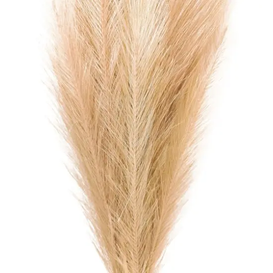 Wispy Pampas Grass Stem by Ashland&reg; {4}