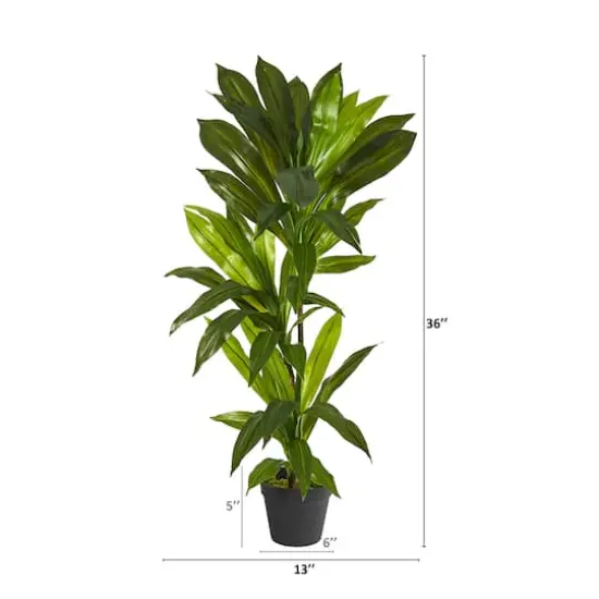 3ft. Dracaena Artificial Plant (Real Touch) {3}