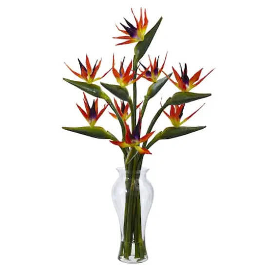 Bird of Paradise in Vase {1}