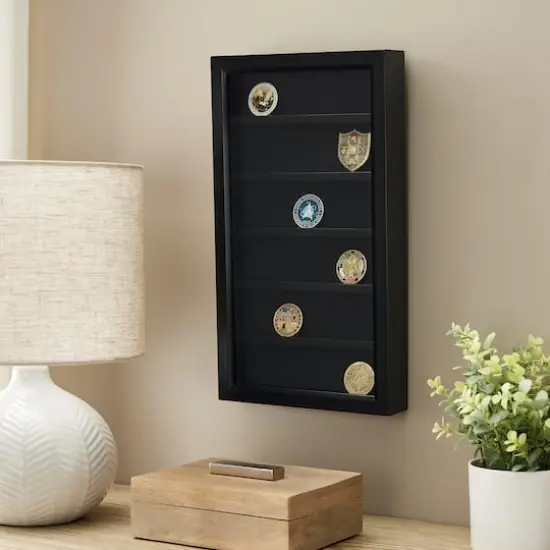 Coin Display Case by Studio D&eacute;cor&reg; {3}