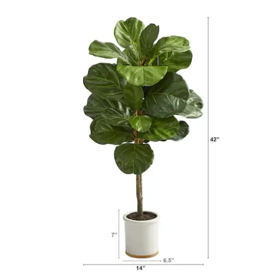3.5ft. Fiddle Leaf Tree in White Ceramic Planter {3}