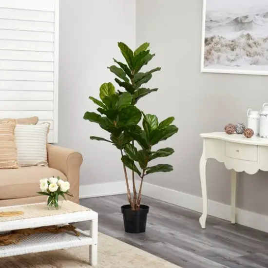 5.4ft. Potted Fiddle Leaf Tree  {6}