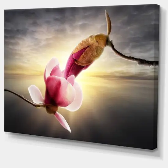 Designart - Beautiful Magnolia Flowers - Large Floral Canvas Art Print {4}