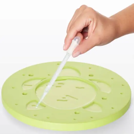 Creativity for Kids&reg; Turtle Garden Stone {6}