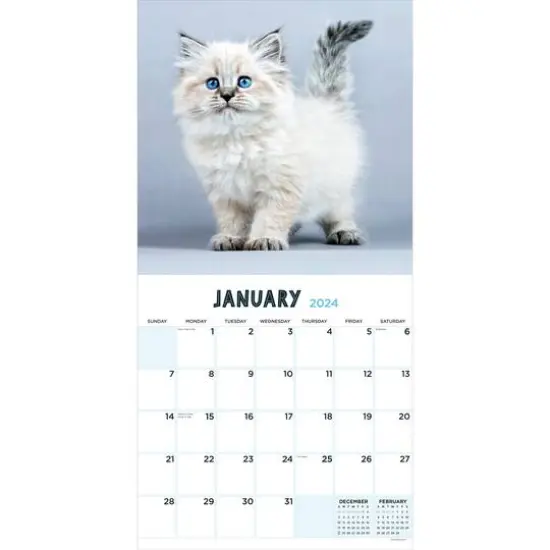 TF Publishing 2024 Kittens Wall Calendar {4}