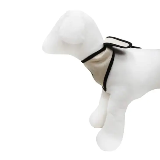 Best Furry Friends Ring Bearer Bandana {5}