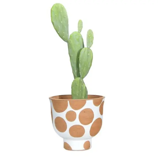 Hello Honey&reg; 9" White & Brown Polka Dot Terra Cotta Pot {6}