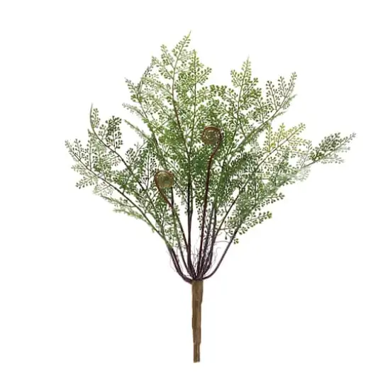 13" Fern Bushes, 2ct. {1}