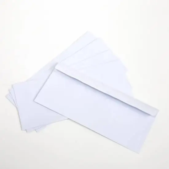 BAZIC&reg; #10 Self-Seal Security Envelopes, 500ct. {4}