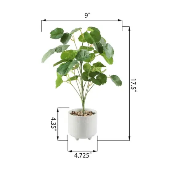 Flora Bunda&reg; 17.5" Green Pilea in Footed White Ceramic Planter {4}
