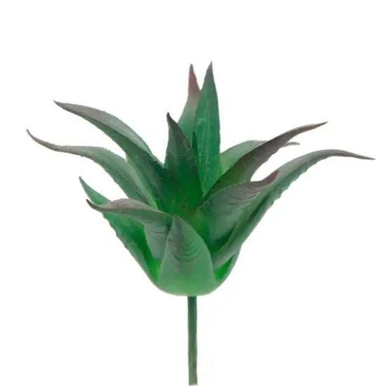 Flora Bunda&reg; Aloe Vera Succulent Pick, 6ct. {1}