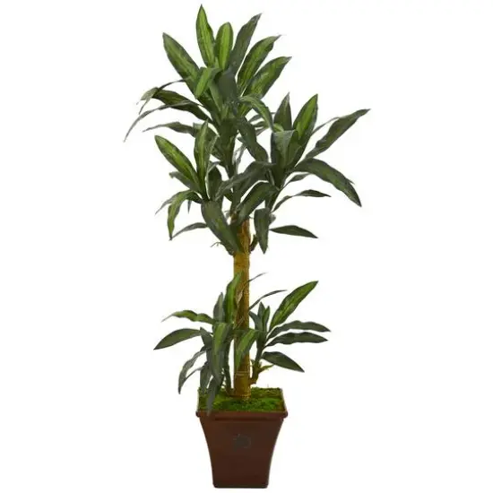 5ft. Yucca Plant in Brown Planter {1}