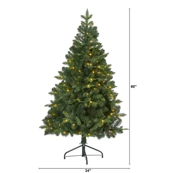 5ft. Pre-Lit Grand Teton Spruce Flat Back Artificial Christmas Tree, Clear LED Lights {10}