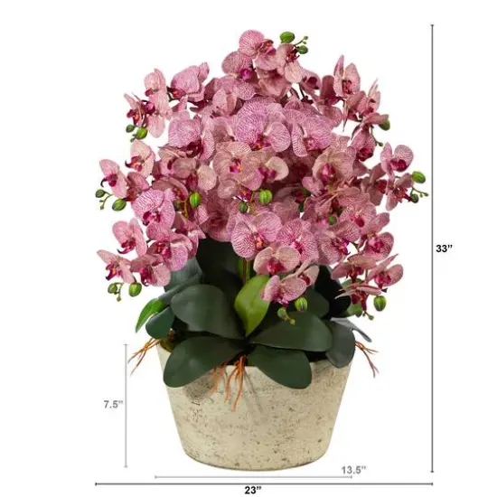 3ft. Moth Orchid Arrangement in White Vase {3}