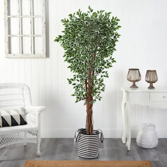 6ft. Variegated Ficus Tree in Handmade Black & White Natural Jute & Cotton Planter {3}