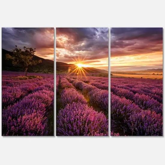 Designart - Sunrise & Dramatic Clouds Over Lavender Field IV - Farmhouse Canvas Wall Art Print {4}