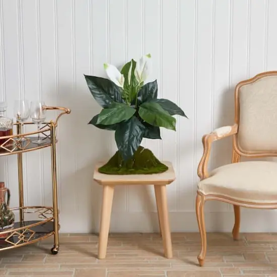 White Peace Lily Plant, 3ct. {4}