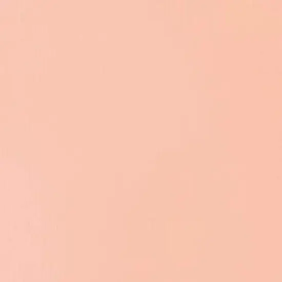 Liquitex&reg; BASICS&reg; Acrylic Fluid, 4oz. Light Pink {3}