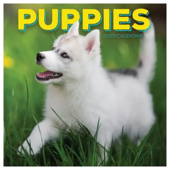 TF Publishing 2025 Puppies Wall Calendar {1}
