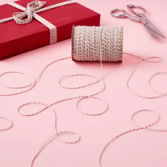 100yd. Twine by Celebrate It&trade; Brown {3}