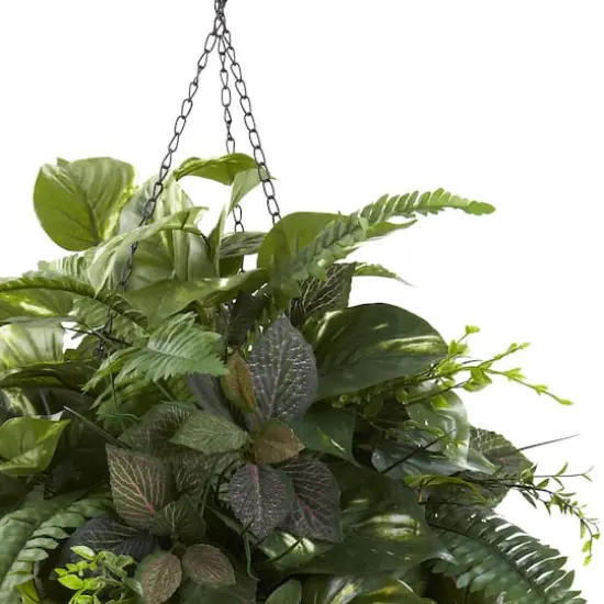 3ft. Mixed Green Vines in Cone Hanging Basket {3}